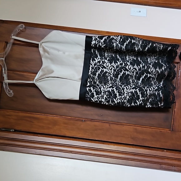 Da Vinci - Picture 1 of 3